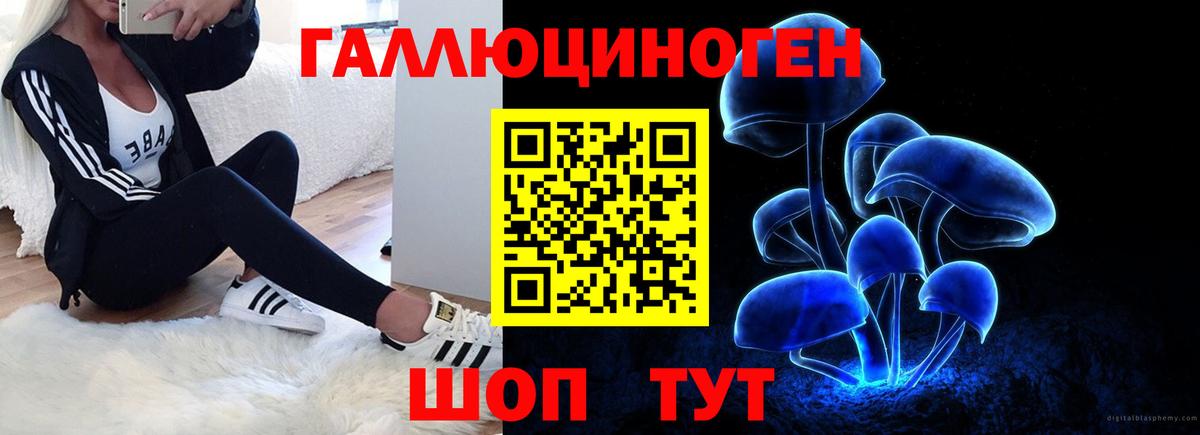 Галлюциногенные грибы мухоморы  Вход с VPN  Баксан 